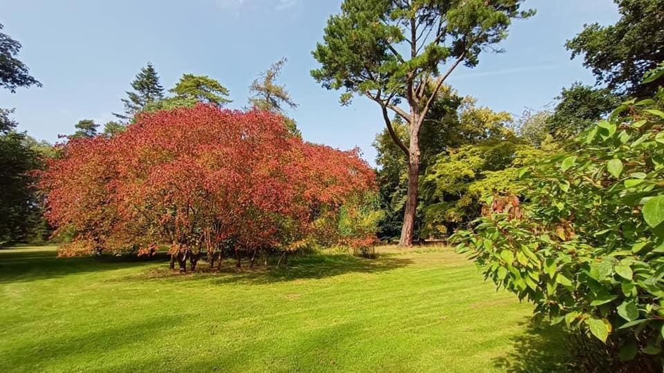 Stunning Modern Apartment In The Cotswolds Chalford Eksteriør bilde